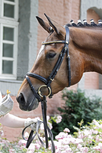 Cousina © Lune Jancke